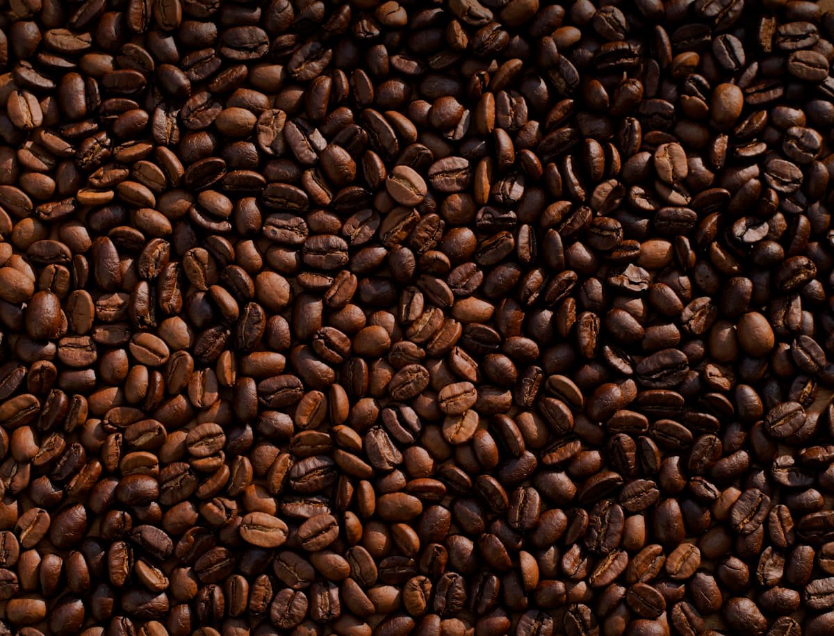 Roasted coffee beans closeup